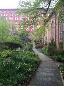 The Highline was a welcome taste of nature.